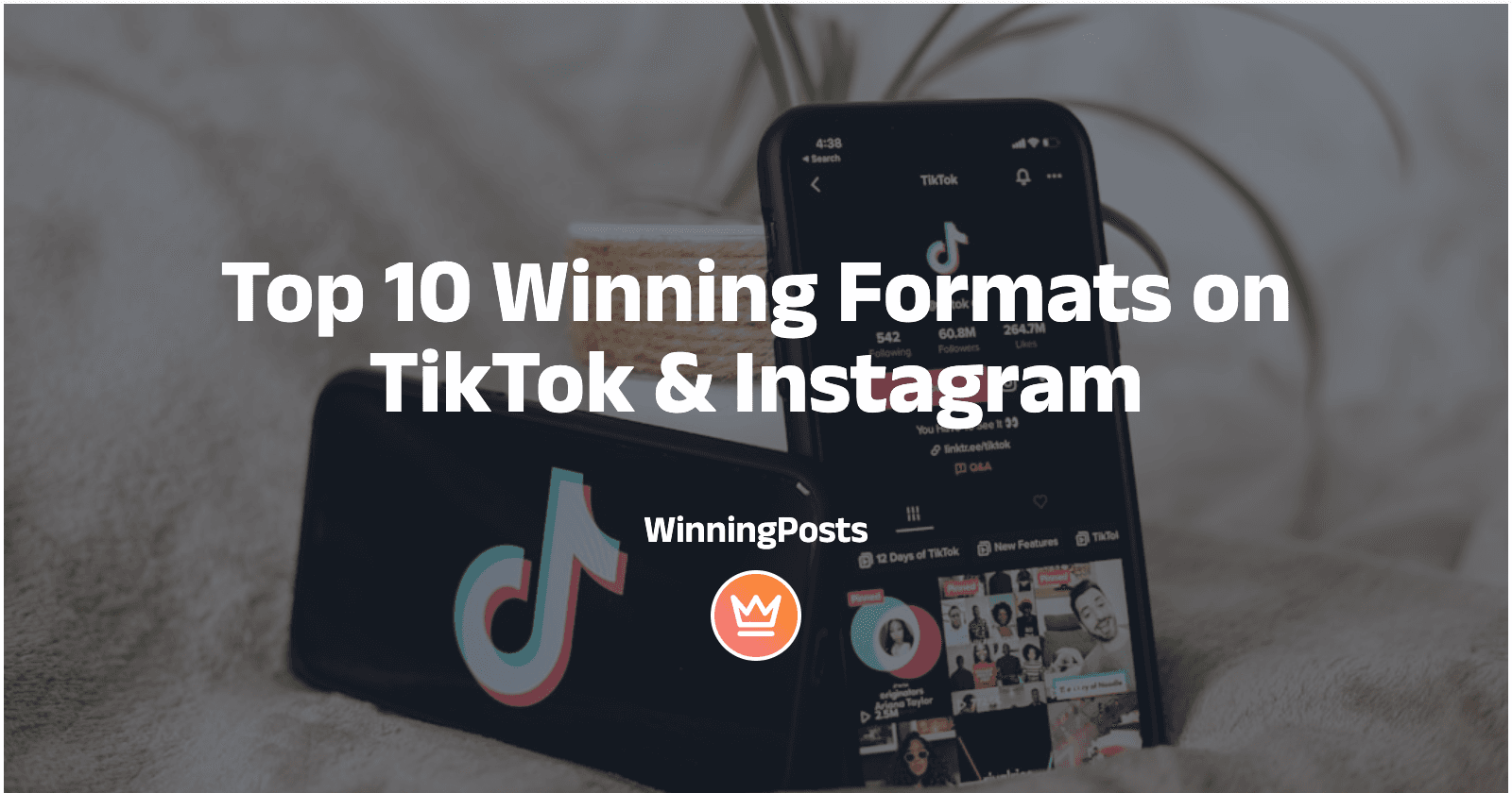 Top 10 Winning Formats on TikTok & Instagram